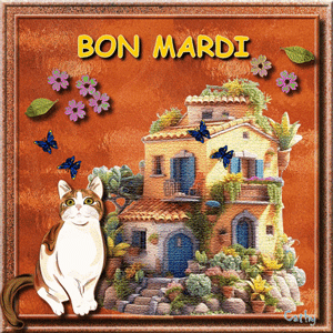 Gif animé Bon mardi chat